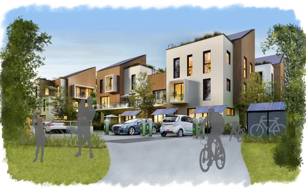 Biodiversity in the built environment