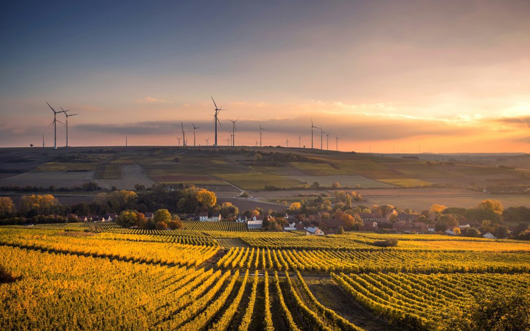 Sustainability and AI for Agriculture and Food