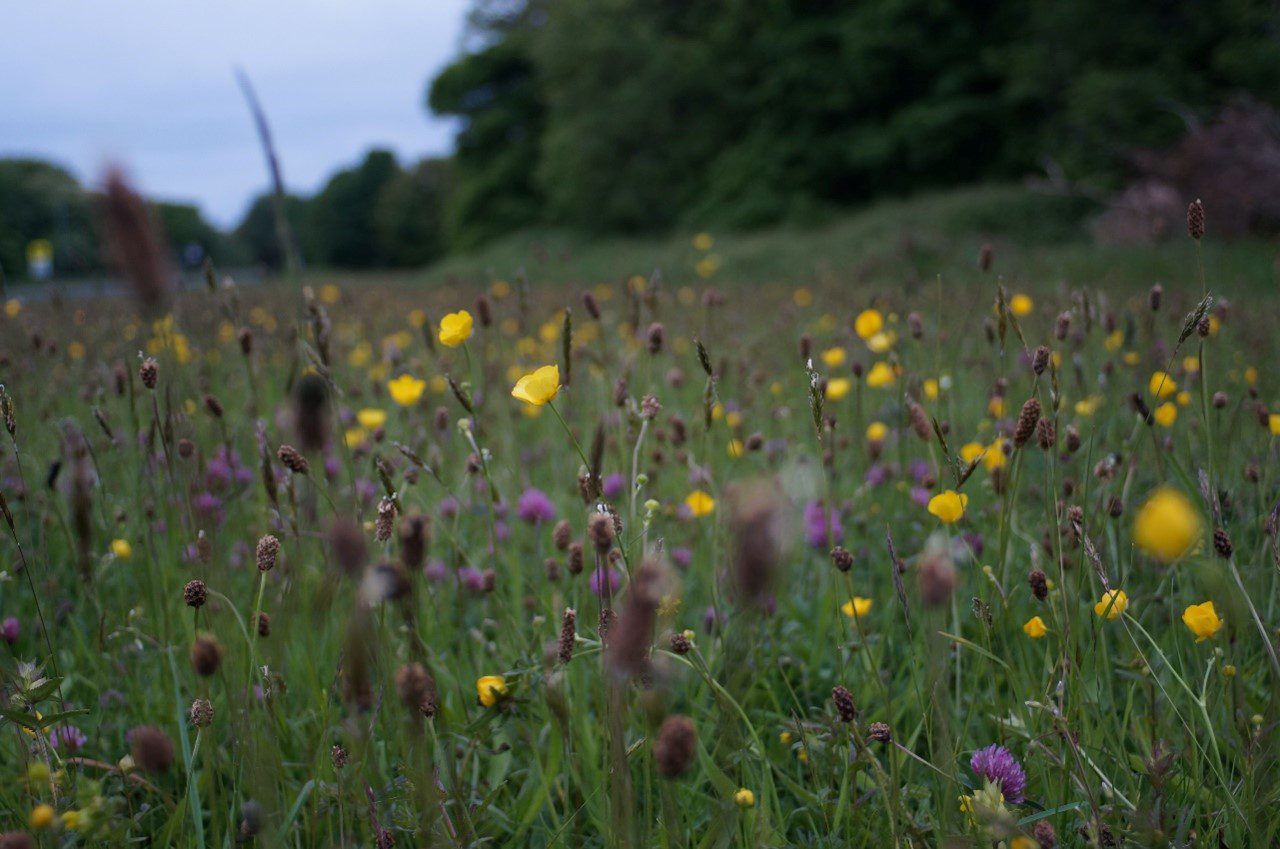Biodiversity 3.0