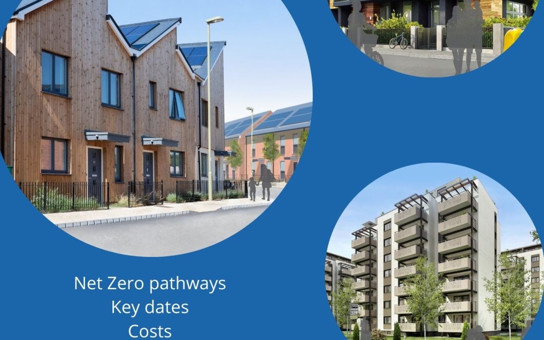 Net Zero carbon roadmap – SHIFT roundtable session